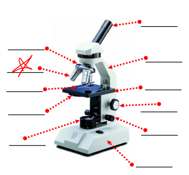 <p>this part of a microscope</p>