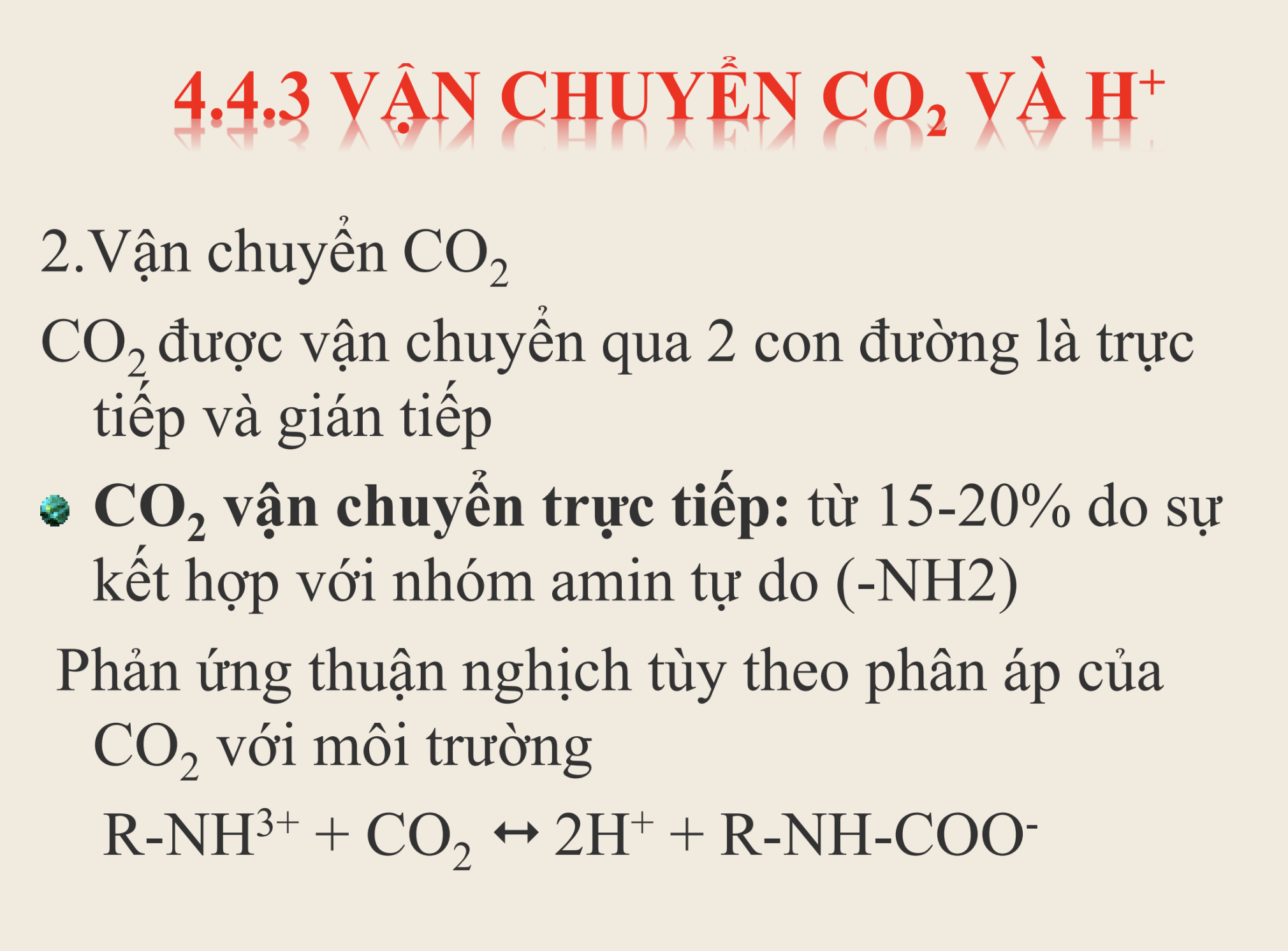<p><strong>Trong quá trình vận chuyển CO₂ trực tiếp, CO₂ kết hợp với phần nào của hemoglobin?</strong></p><p>A. Nhóm sắt trong heme</p><p>B. Nhóm amin tự do trên chuỗi globin</p><p>C. Nhóm carboxyl (-COOH) của acid amin</p><p>D. Phân tử O₂ gắn trên heme</p>