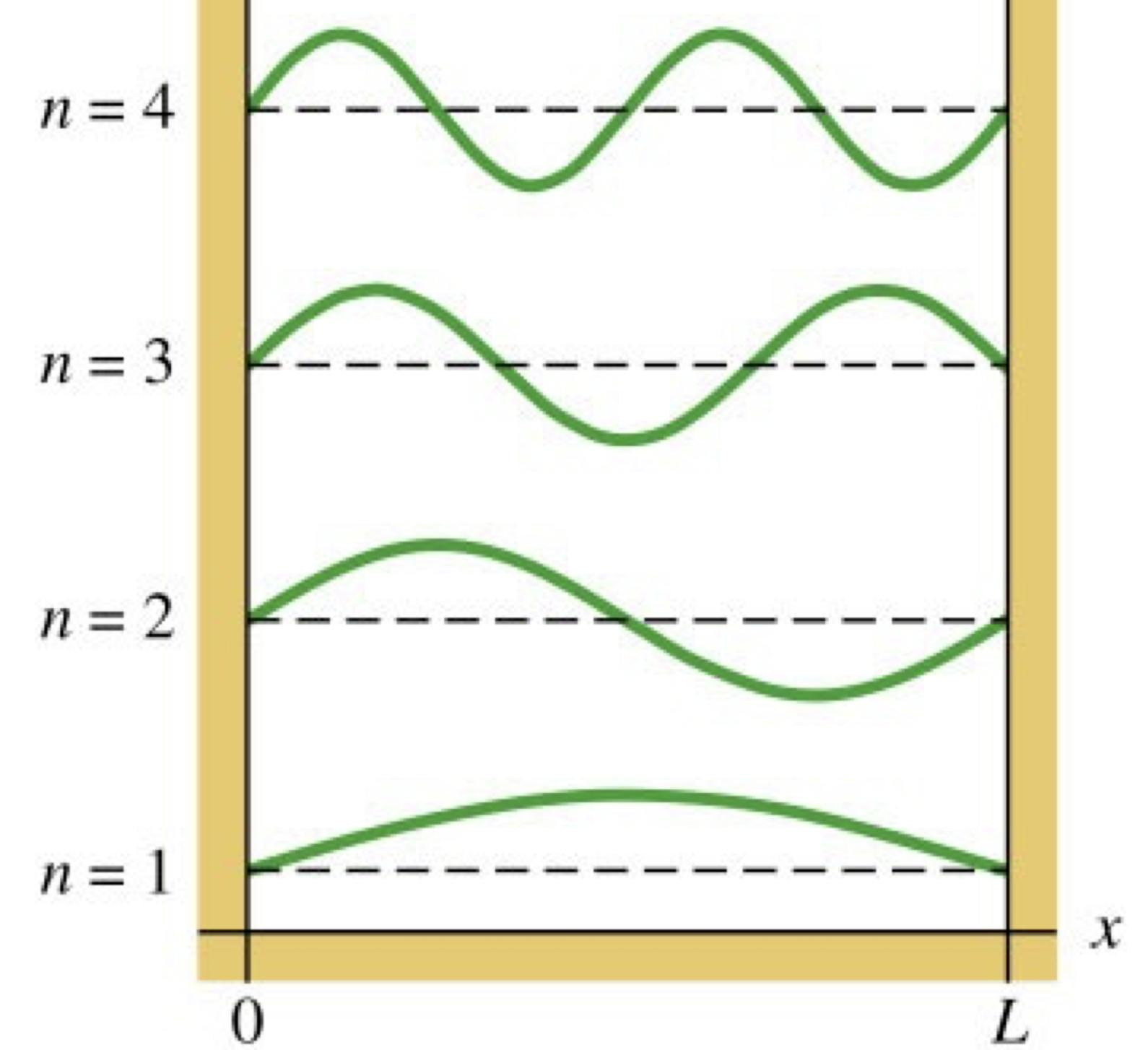 <p>What is the equation for L in the image?</p>