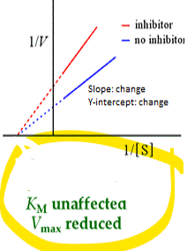 <p>what kind of enzyme inhibition is this</p><p><span>•No change Km, Reduced Vmax</span></p>