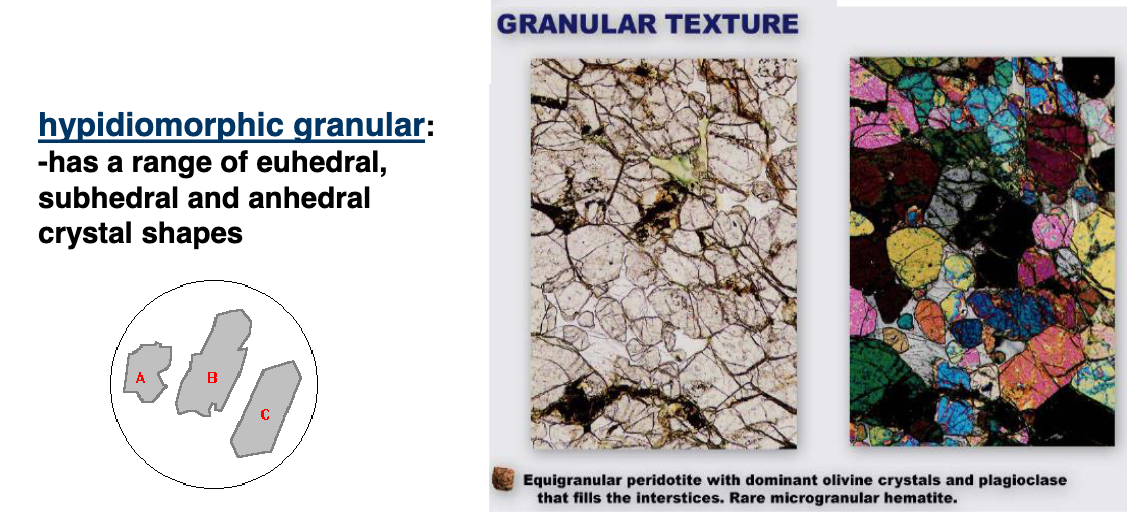 <p>granular: sugary, roughly same size crystals, rounded, looking like grains<br>hypidiomorphic granular: range of euhedral to anhedral grains (euhedral generally form first)</p>