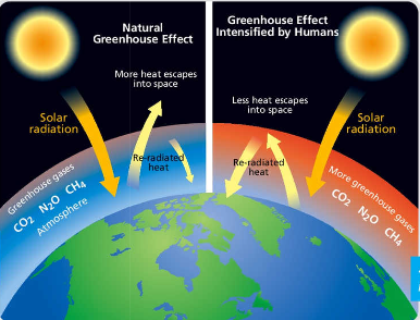 <p>during the day the solar energy heats the earths surface by penetrating the atmosphere, at night this heat is released but gets trapped by greenhouse gases</p>