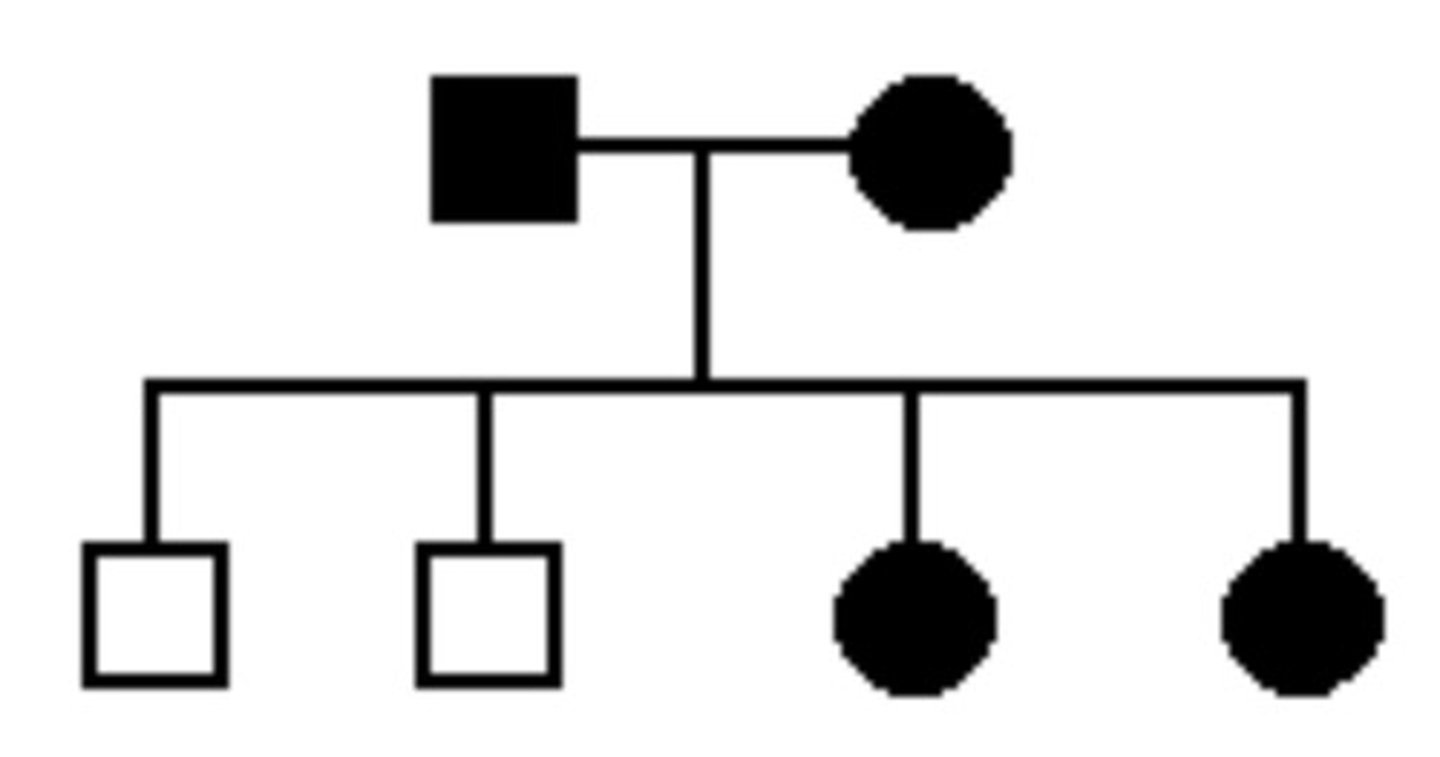 <p>autosomal dominant</p>