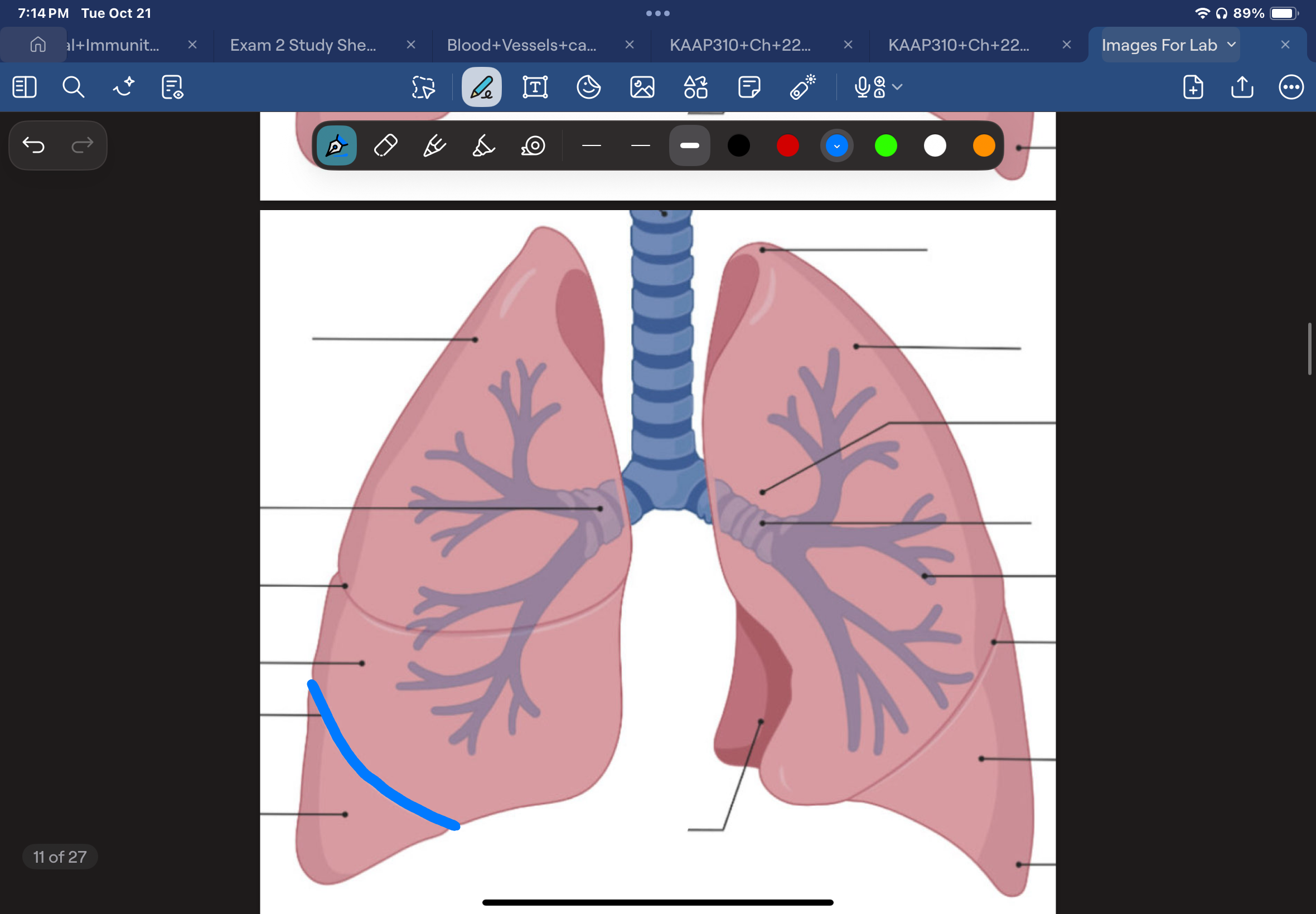 knowt flashcard image