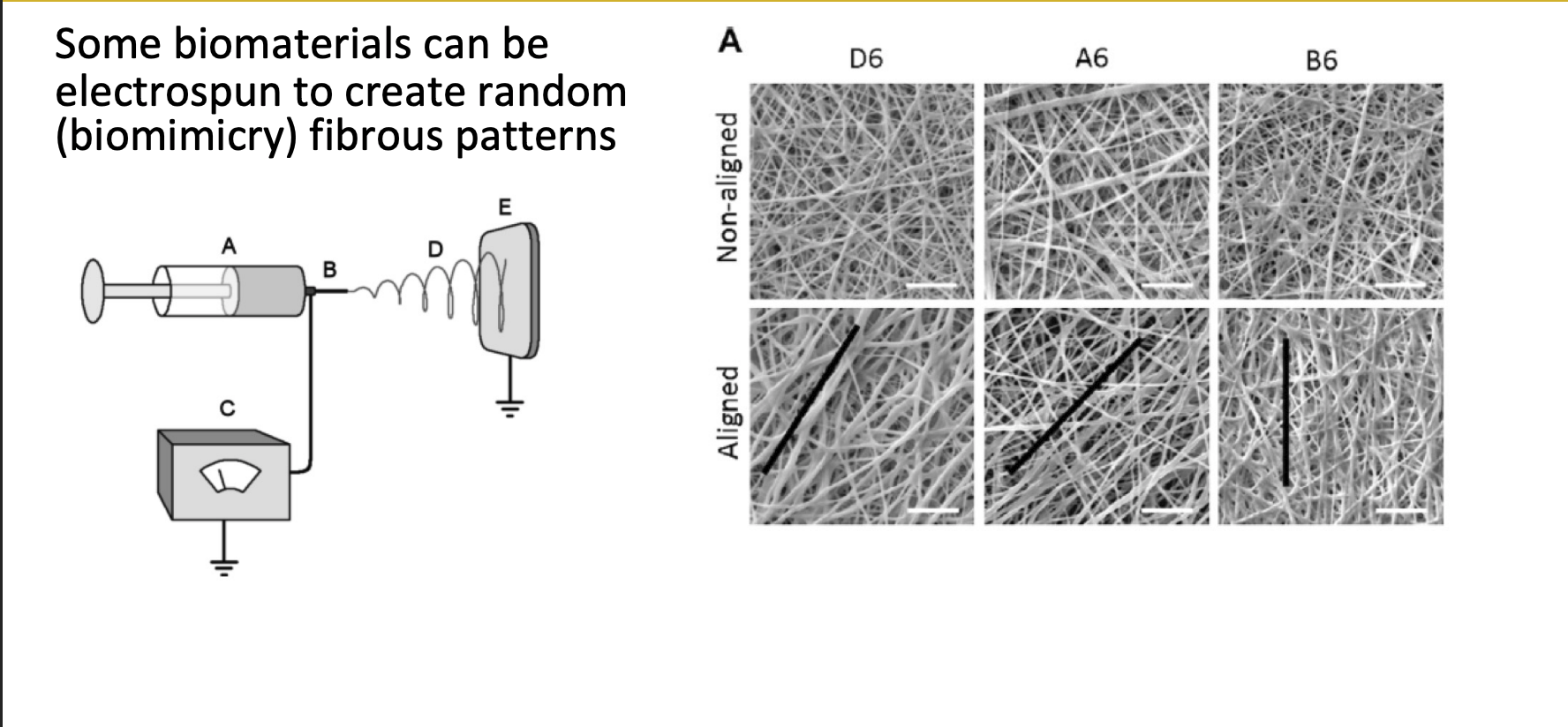 <p>biomaterials can be electrospun to create random fibrous patterns </p><ul><li><p>mimic random arrangement of real tissue</p></li></ul><p></p>