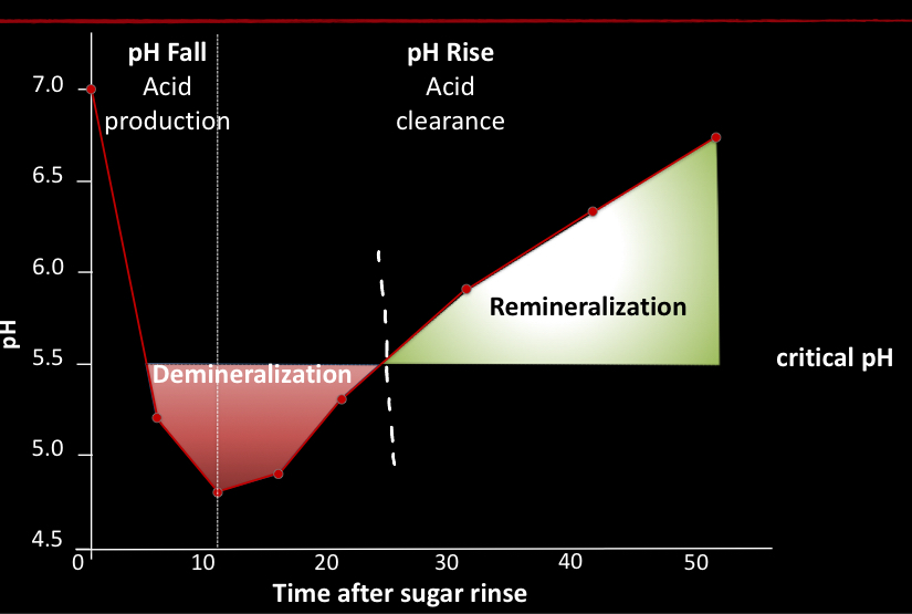 <p>The relationship between pH at the tooth surface and time following consumption of sugar; enamel demineralize @5.5pH; dentin @ 6pH</p>