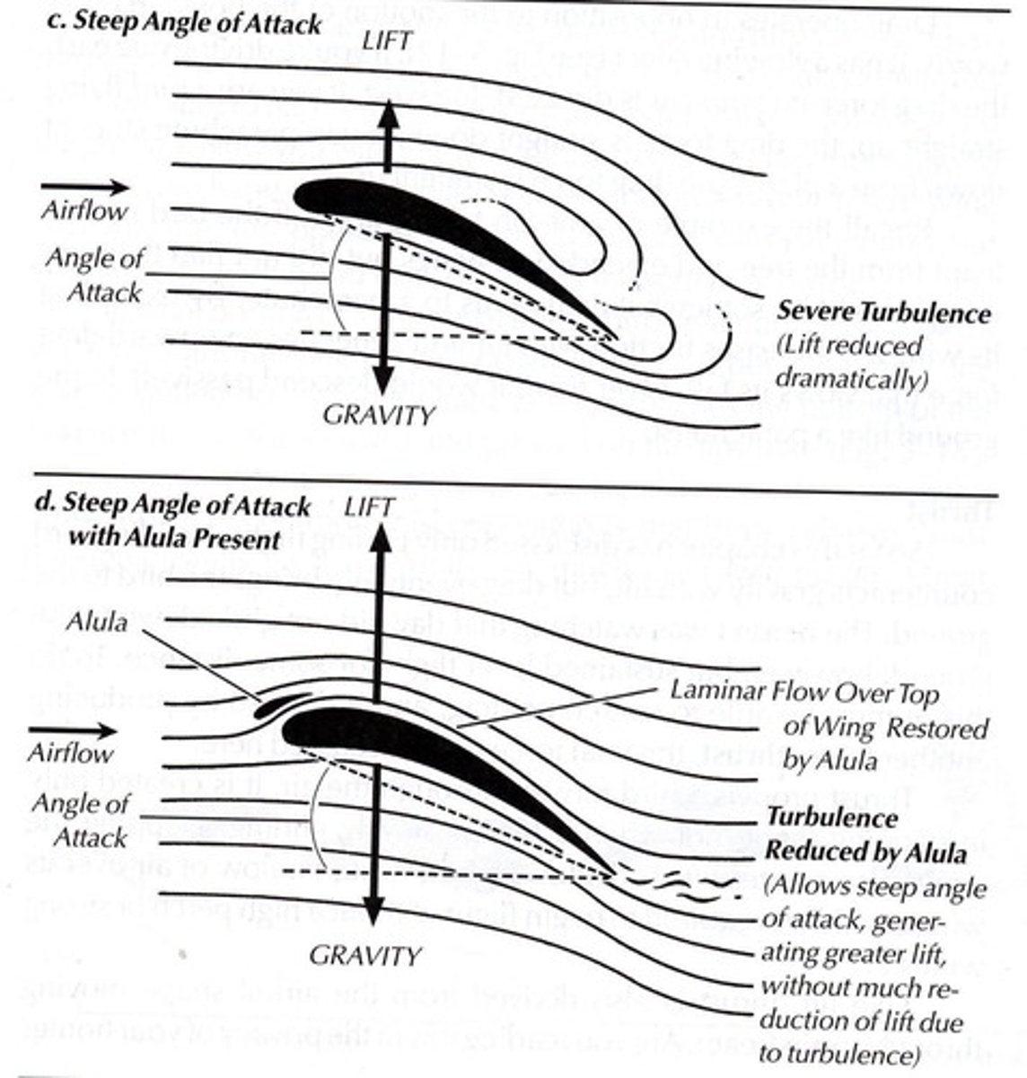 <p>Feathered thumb reducing turbulence at steep angles.</p>
