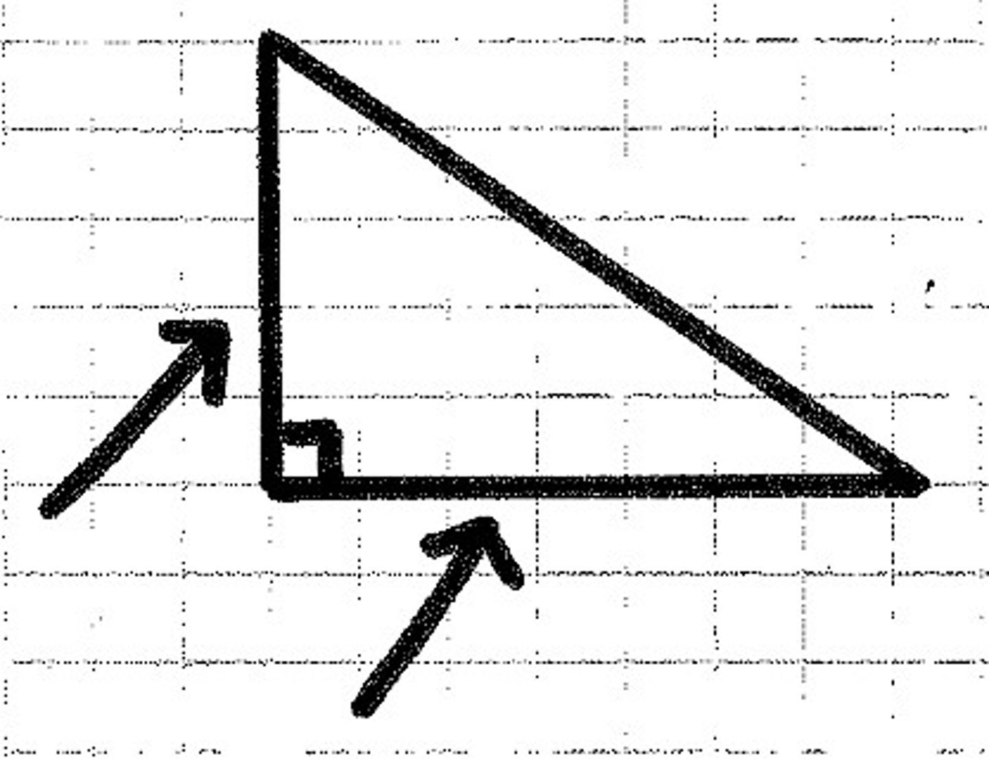 <p>leg</p>