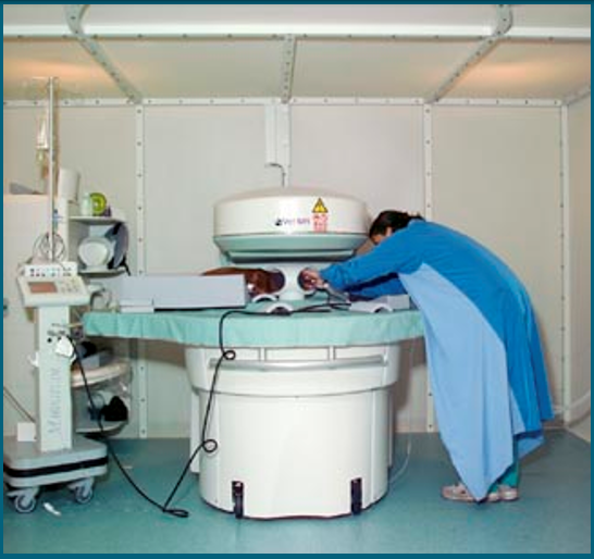 <p>Permanent Magnet&nbsp;</p>