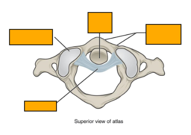 <p>Label clockwise</p>