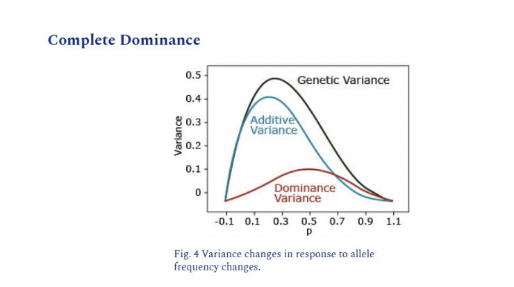 <p>Heterozygote is more like one parent or the other</p><p>aa=0,Aa=2, AA=2</p>