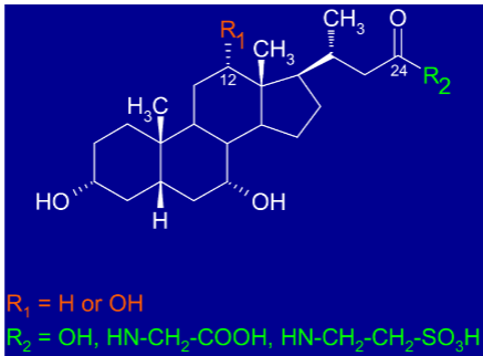 <p>Cholesterol derivatives with 2 variable residues</p>