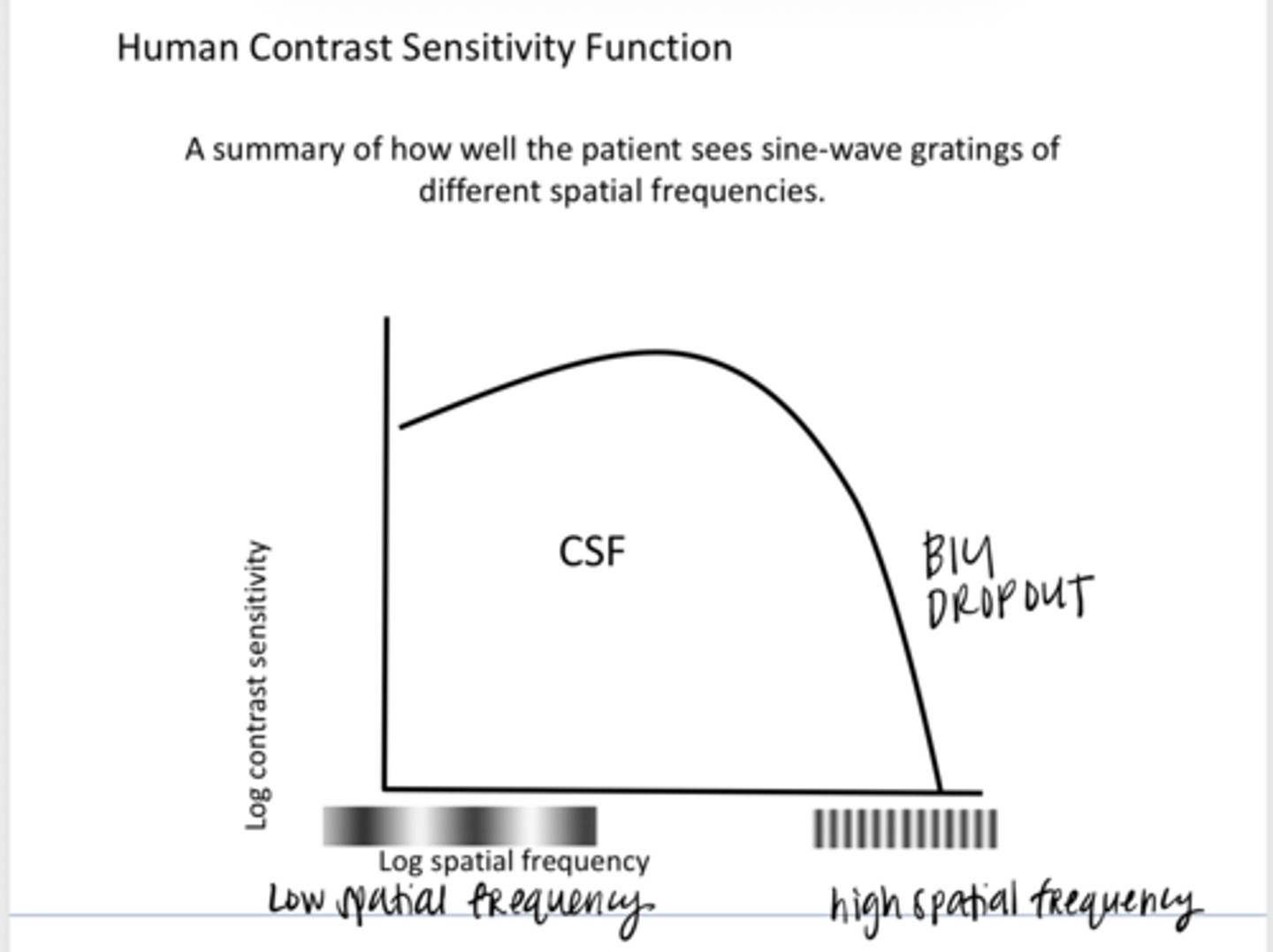 <p>What is the human contrast sensitivity function?</p>