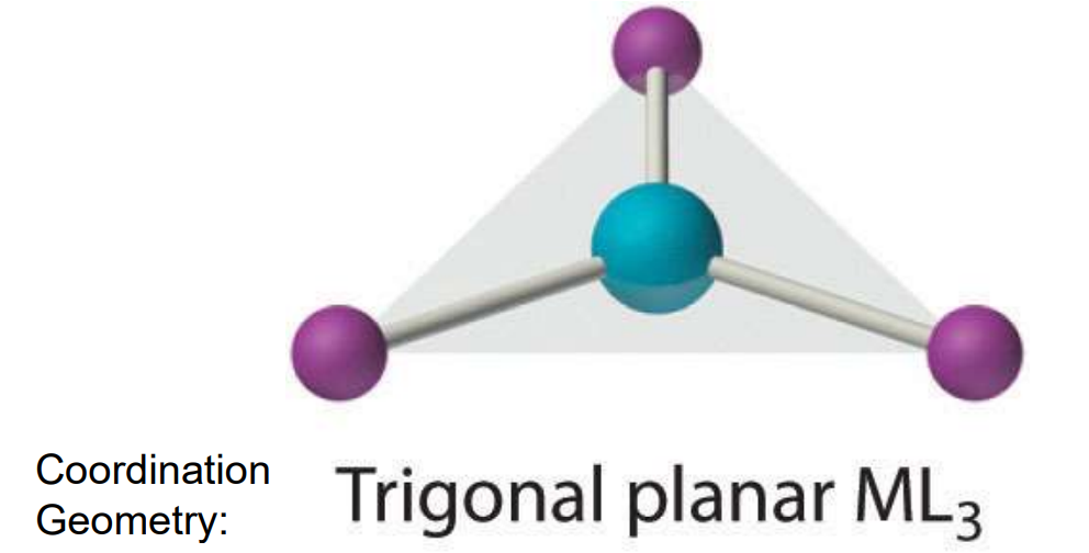 <ul><li><p>Trigonal planar</p></li><li><p>Also rare</p></li><li><p>Found in&nbsp;Cu<sup>+</sup> and Hg<sup>2+</sup> (if not linear)</p></li></ul><p></p>