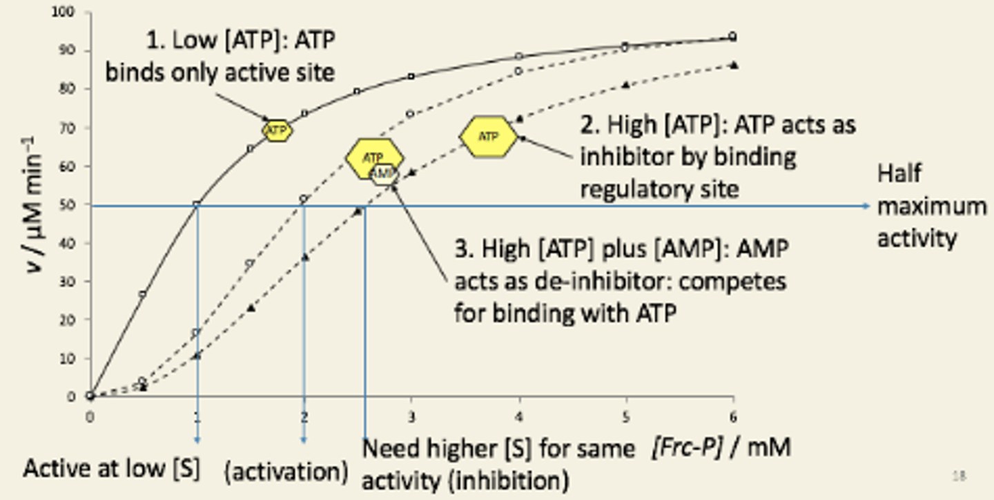 <p>sigmoidal kinetics w.r.t. [Frc-P], and is modulated allosterically by ATP and AMP:</p>