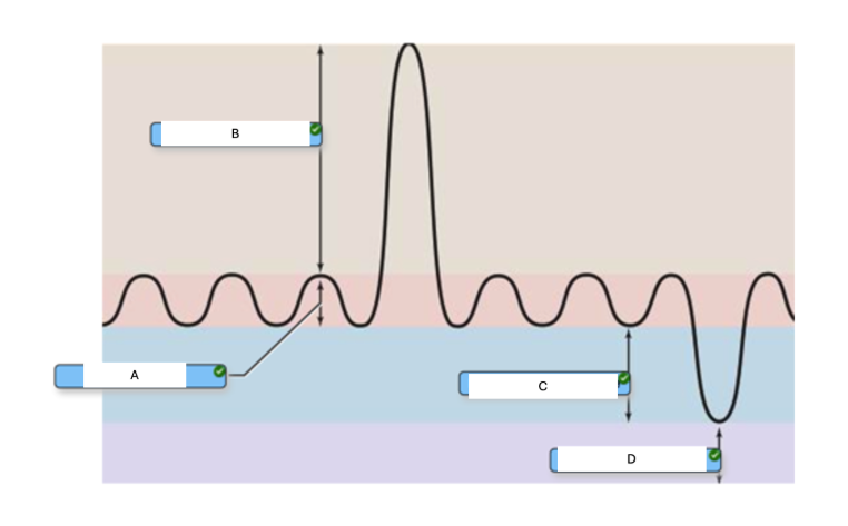 <p><span><span>In the graph below of the respiratory cycle, what is the best definition of what is happening at letter A? </span></span></p>