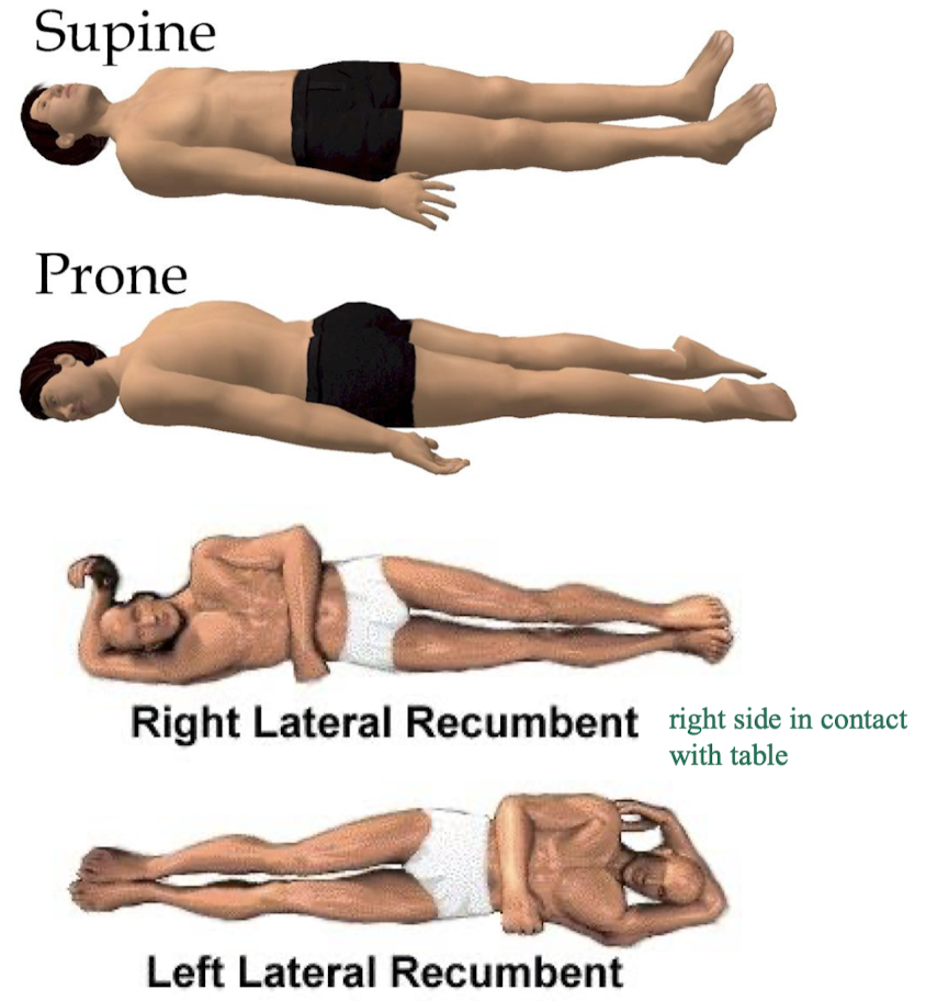 <ul><li><p><strong>supine </strong>- patient is lying face up (think “lying on spine” - supine)</p></li><li><p><strong>prone</strong> - patient is lying face down</p></li><li><p><strong>lateral decubitus (recumbent)</strong> - pt is lying on their side </p><ul><li><p>on right side - right lateral decubitus (or recumbent)</p></li><li><p>on left side - left lateral decubitus (or recumbent)</p></li></ul></li></ul><p></p>