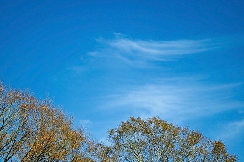 <p>sky blue</p>