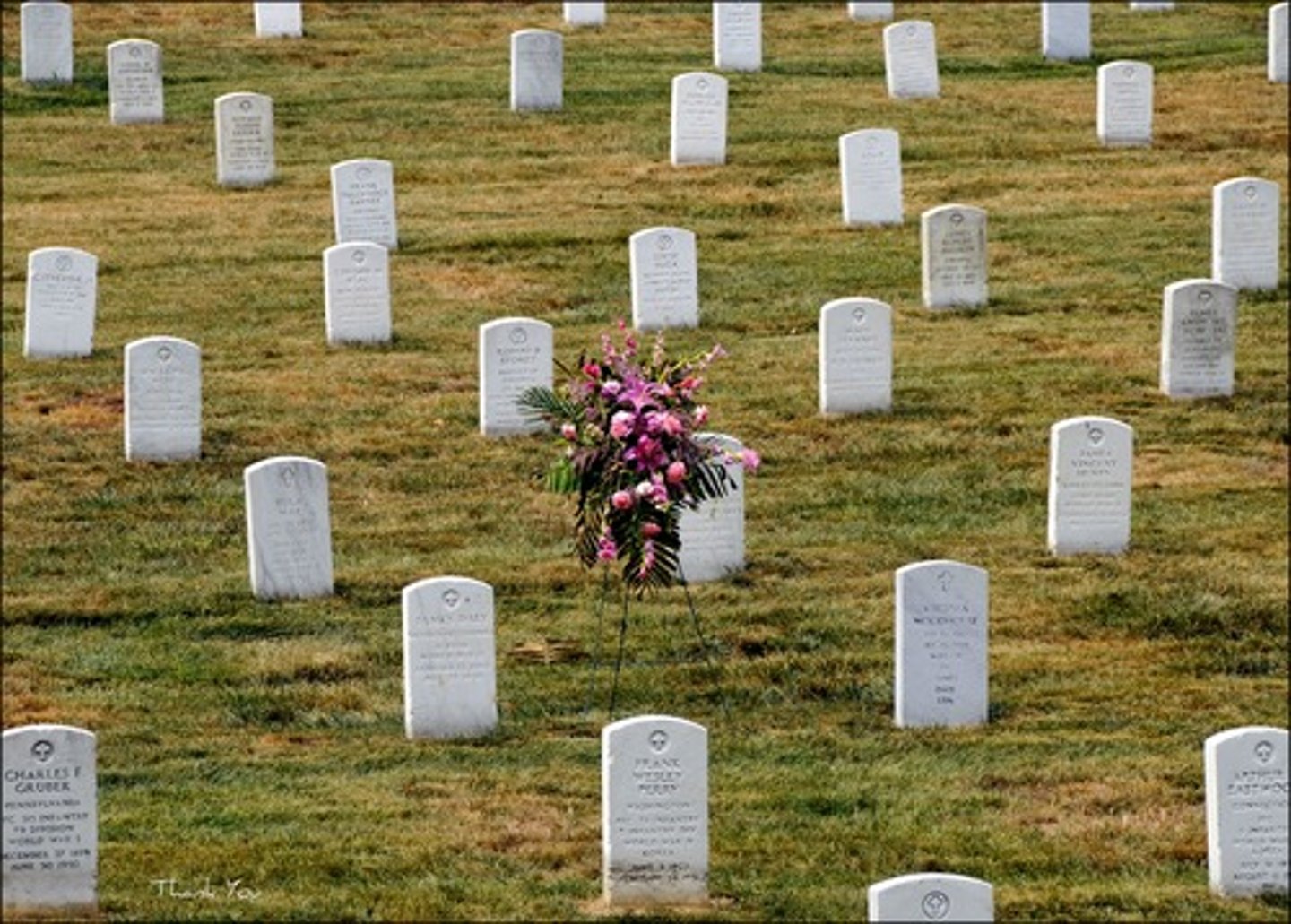 <p>The number of deaths per year per 1,000 people.</p>
