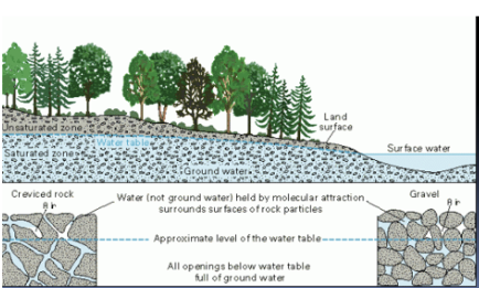 <ul><li><p class="Paragraph SCXW3956469 BCX0" style="text-align: left;"><span>Water table is at surface or within 1m of surface&nbsp;</span></p></li></ul><ul><li><p class="Paragraph SCXW3956469 BCX0" style="text-align: left;"><span>Vegetation and soils similar to submersed, littoral areas&nbsp;</span></p></li></ul><ul><li><p class="Paragraph SCXW3956469 BCX0" style="text-align: left;"><span>Can be lentic, lotic, fresh, or saline&nbsp;&nbsp;</span></p></li></ul><ul><li><p class="Paragraph SCXW3956469 BCX0" style="text-align: left;"><span>Swamps (contain shrubs and trees, woody plants), marshes (contain grasses, no trees), bogs (dominated by mosses)&nbsp;</span></p></li></ul><ul><li><p class="Paragraph SCXW3956469 BCX0" style="text-align: left;"><span><strong>! Know these differences&nbsp;</strong>&nbsp;</span></p></li></ul><ul><li><p class="Paragraph SCXW3956469 BCX0" style="text-align: left;"><span>Are among the most productive biological systems on earth&nbsp;&nbsp;</span></p></li></ul><p></p>