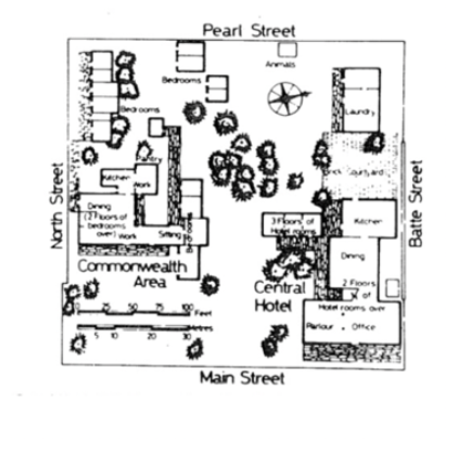 term image