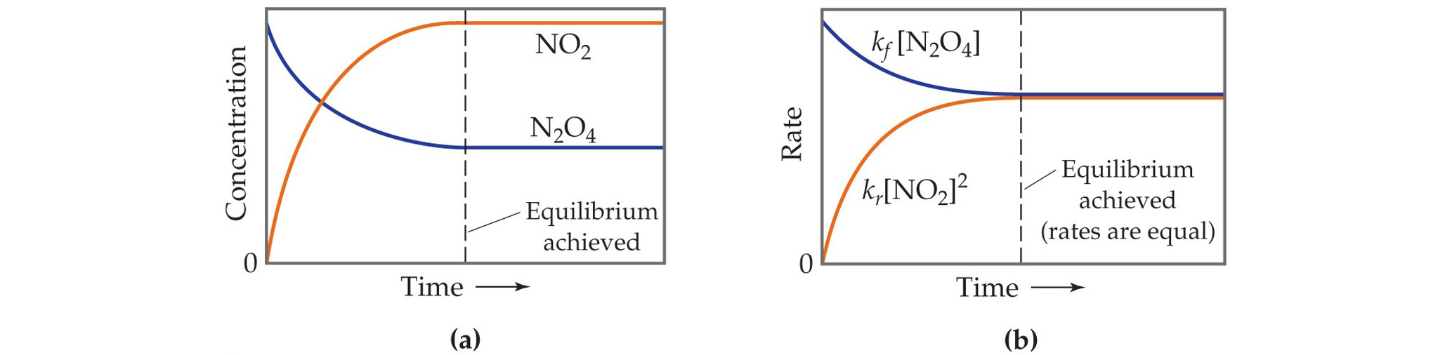 <p>A condition where the forward and reverse reactions occur at equal rates, so concentrations remain constant but reactions continue at the molecular level</p><p></p>