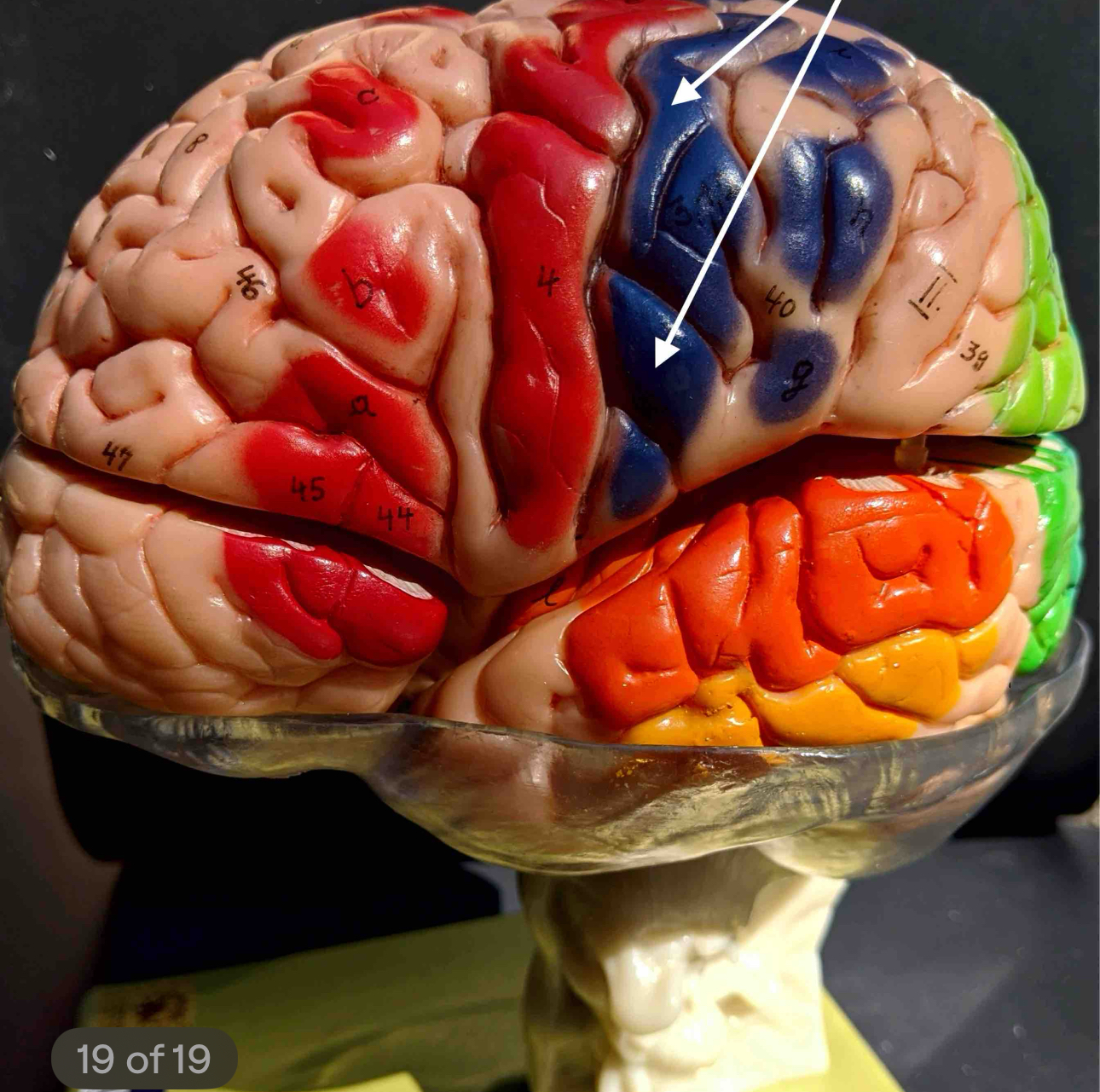 <p>What area is this</p>