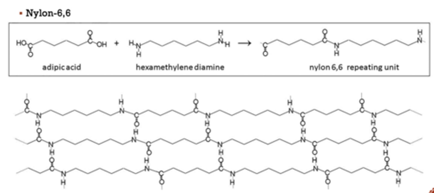 <p>its ability to hydrogen bond to adjacent chains</p>