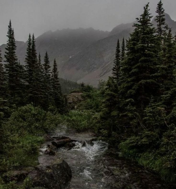 <p>Âm u, ảm đạm</p>