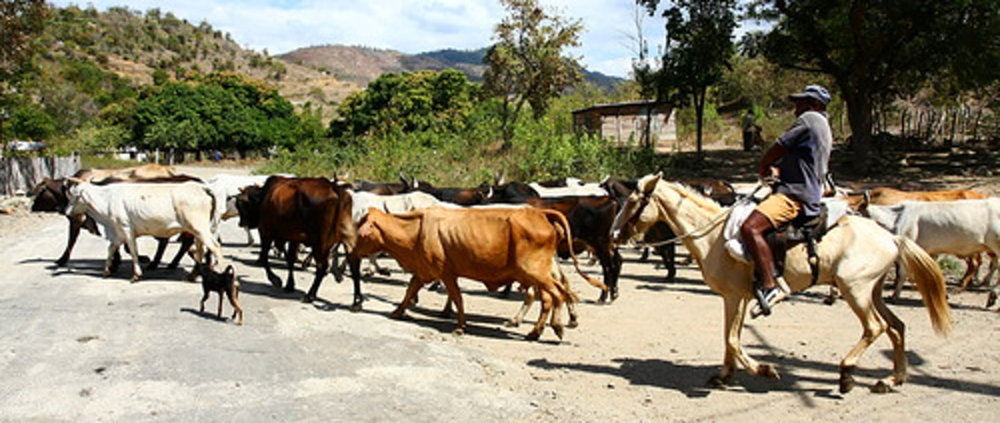 <p>ranching in DRIER areas where the land is CHEAPER, extensive, but may be intensive in the developed world</p>