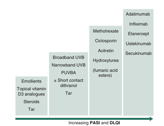 <ul><li><p>epidermal hyperproliferation :differentiation of cells through the epider mis normally takes approximately 40 days, but in psoriatic skin may be as rapid as 7 days</p></li><li><p>increased epidermal turnover</p></li><li><p>thickened upper horny layer (hyperkeratosis)</p></li><li><p>increased DNA synth</p></li><li><p>keratin 6 and 16 increased</p></li><li><p>keratin 1 and 10 delayed</p></li><li><p>neutrophils in the epidermis</p></li><li><p>CD8+ cells in the dermis</p></li><li><p>f TH1- and TH17-mediated immune responses</p></li><li><p>(TNF-α), interleukin (IL)-23 and IL-17</p><p></p><p></p></li></ul><p></p>