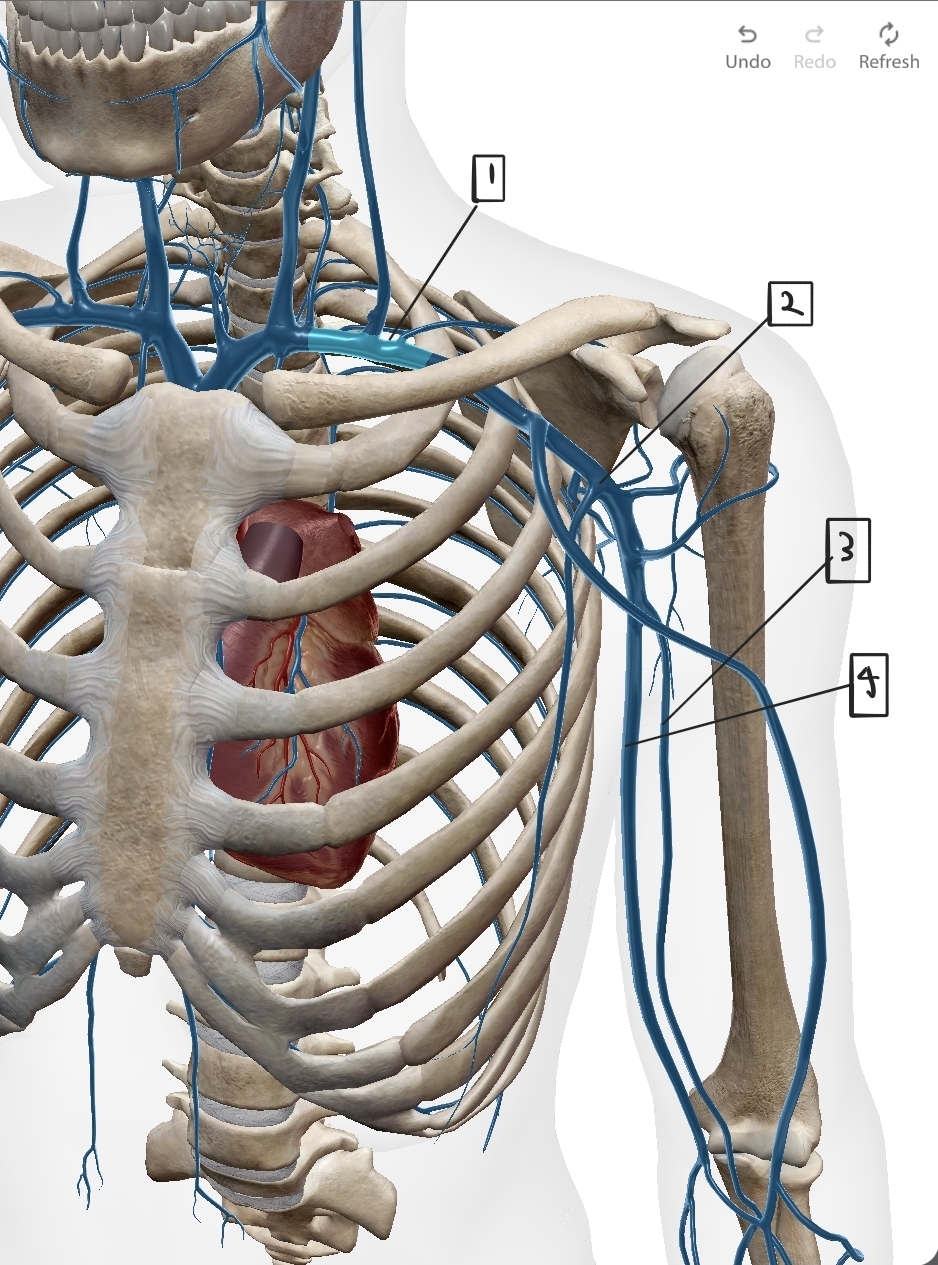 <p>What are these?</p>