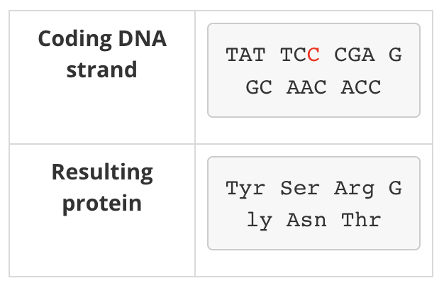 <p><span><span>changes in a single base that lead to a change in the resulting mRNA codon but no change in the resulting amino acid in the protein product.</span></span></p>