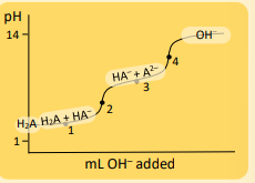 <p>Polyprotic Acid with Strong</p>