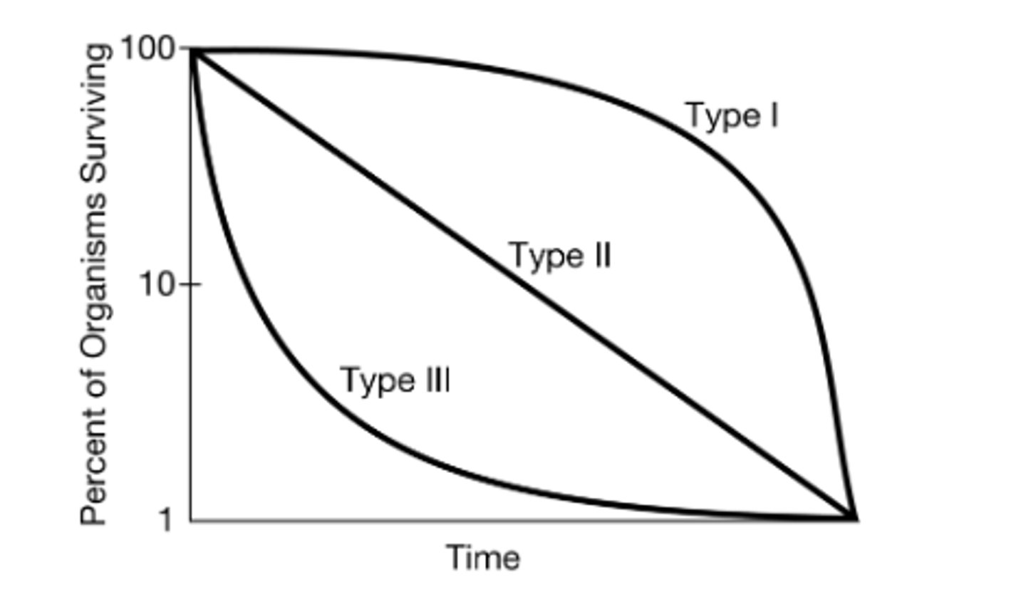 <p>C</p><p>The organism produces large numbers of offspring every time it reproduces. </p><p>Type IIIIII organisms (including many marine invertebrates and other rr-selected species) have large numbers of offspring.</p>