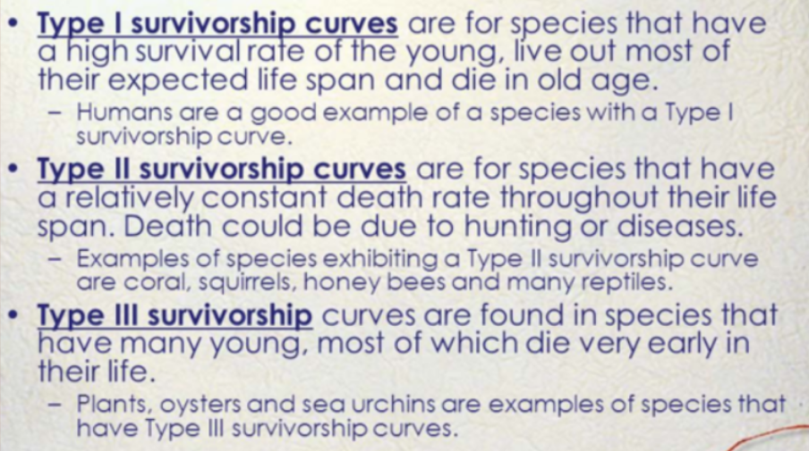 <p>A graph that represents the distinct patterns of species survival as a function of age.</p>