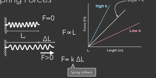 <p>proportional </p><ul><li><p>high k = high stiffness = lower length with more force </p></li><li><p>low k = low stiffness = greater length with less force </p></li></ul><p></p>