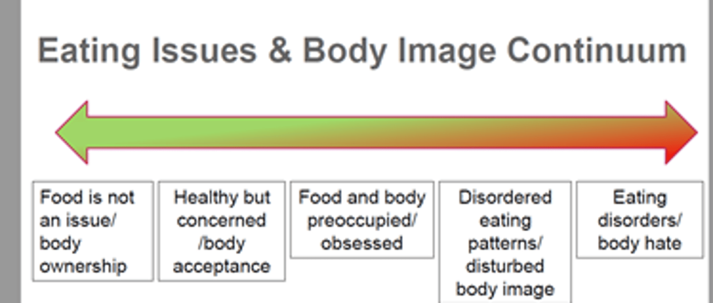 <p>-Body hate/dissociation</p><p>-Distorted body image</p><p>-Body preoccupied/ obsessed</p><p>-Body acceptance</p><p>-Body ownership</p>