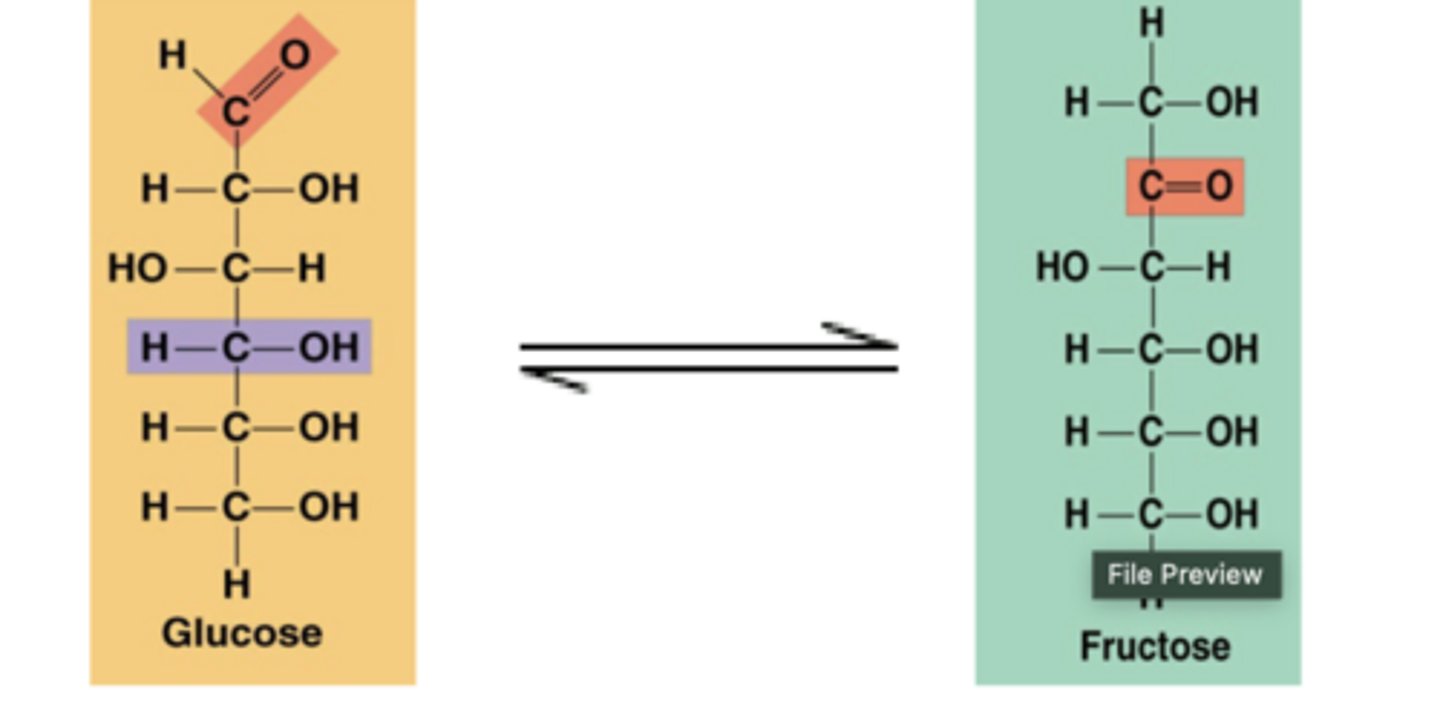 <p>Aldose sugar</p><p>-contains an aldehyde</p><p>-also considered a type of hexose</p><p>-can combine terms to call glucose an aldo-hexose</p><p>Ketose sugar</p><p>-contains a ketone</p><p>-also considered a type of hexose</p><p>-can combine terms to call fructose a keto-hexose</p>