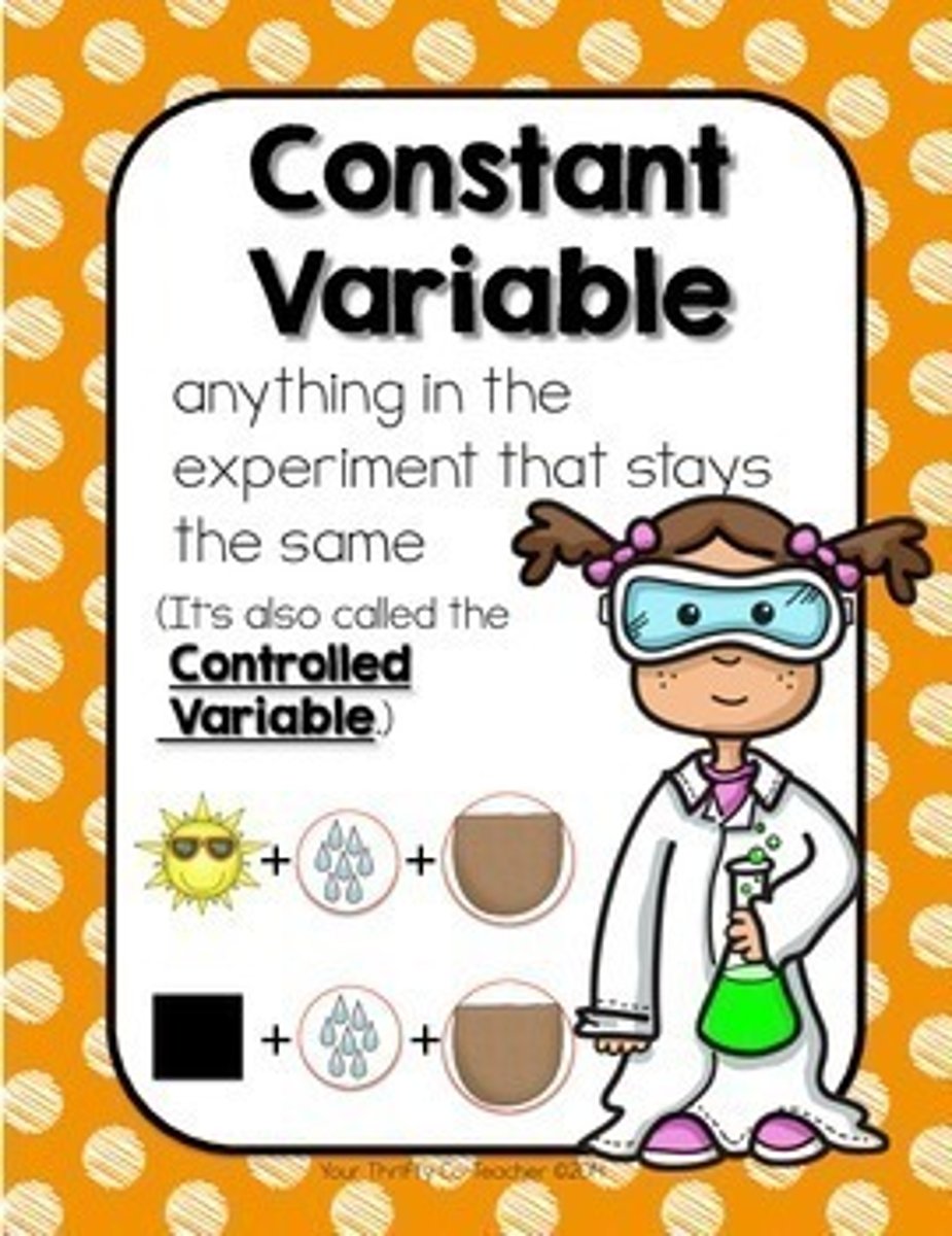 <p>The parts of the experiment that stay the same; rules of the experiment</p>