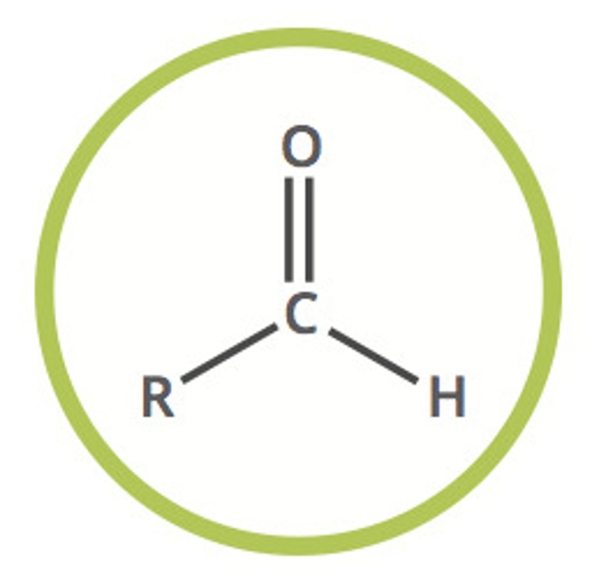 <p>Oxygen double bonded to a carbon</p><p>Terminal H</p>