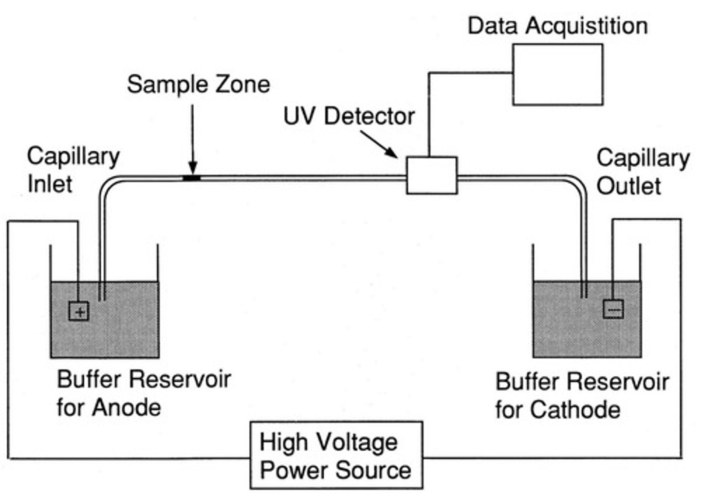 <p>A method of separating DNA samples based on the rate of movement of each component through a gel-filled capillary while under the influence of an electric field</p>