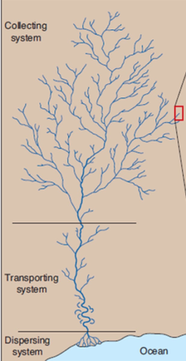 <p>A drainage pattern that may develop on homogeneous rock, which has a shape resembling the pattern made by the branches of a tree or the veins of a leaf</p>