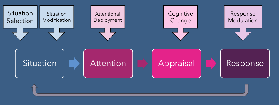 <p>changing aspects of env that influence our emotional experience (when ppl are being loud in lib so you wear headphones)</p>