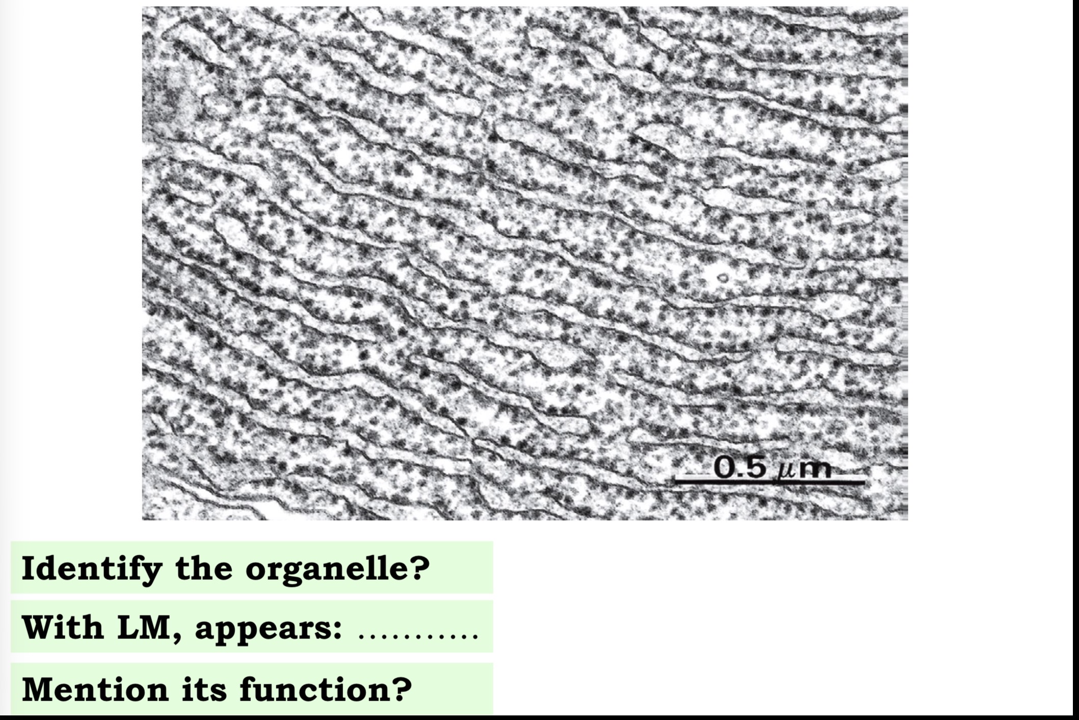 <p>Answer the questions in these following pictures</p>