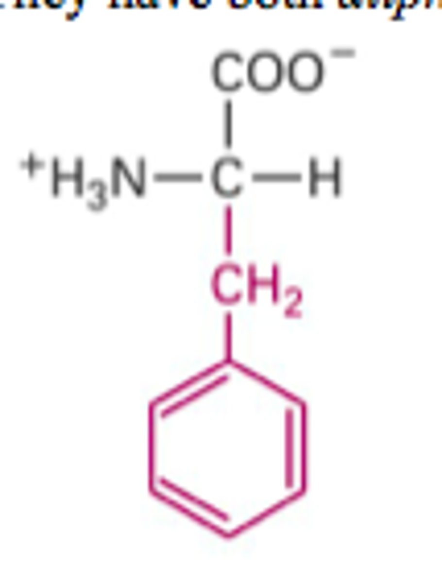 <p>What Structure is this?</p>