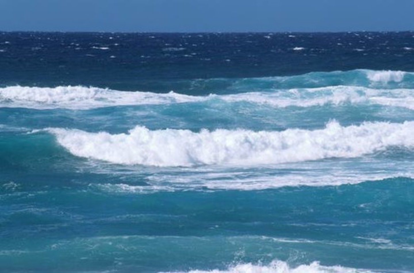 <p>the ocean</p>