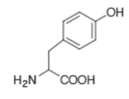 <p>What is the single letter code for the amino acid shown?</p>