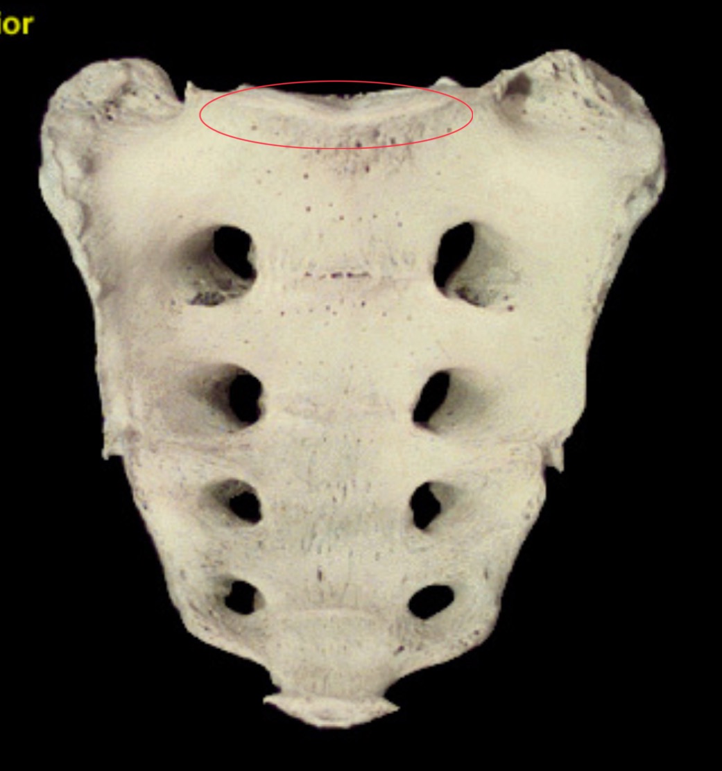 <p>What is this structure?</p>