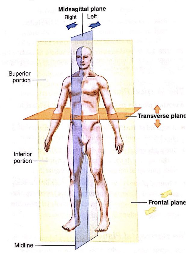 <p>this thing</p>